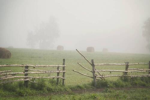 Где то, где нет суеты..