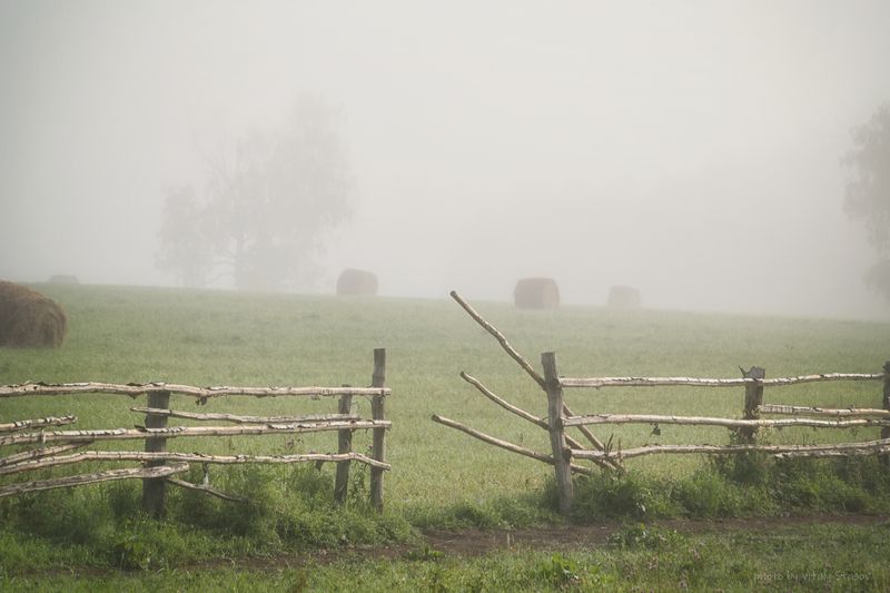 Где то, где нет суеты.. фото превью