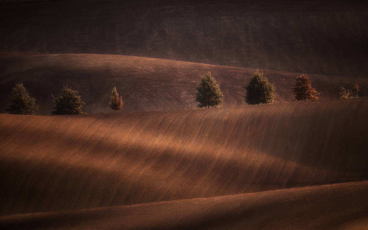 , Георгий Бычковский