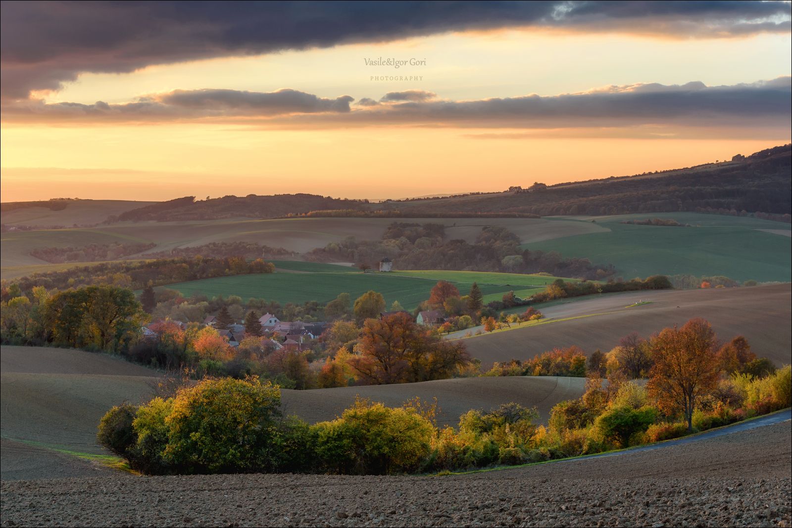 южная моравия,пейзаж,волны,ветряк,линии,south moravian,lines,мельница,свет,czech,осень,чехия,landscapes,поле,windmill,кунковице Осенняя палитра фото превью