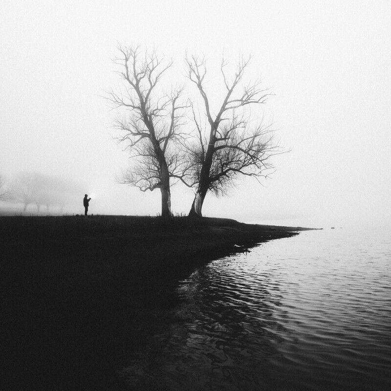 туман, дерево, силуэт, одиночество, дымка, пейзаж, чёрно-белое, берег, тишина, настроение Шёпот тумана фото превью