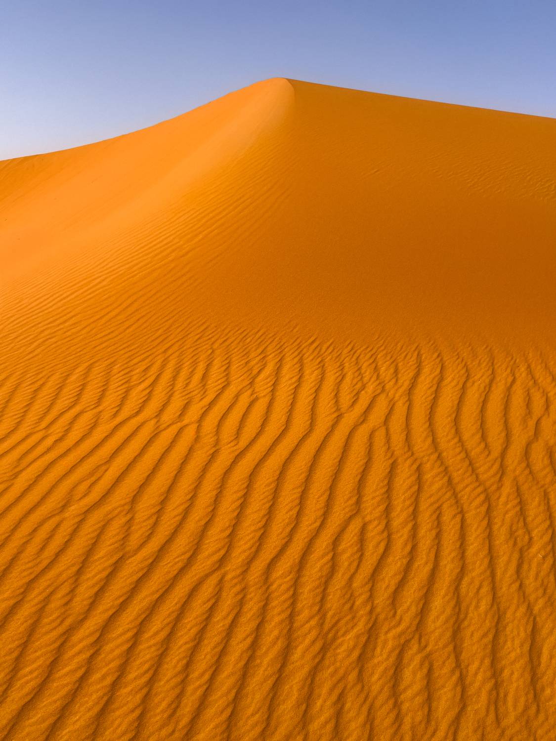 maroc, marocco, sahara desert, desert, sand, orange, light, марокко, пустыня, сахара, пейзаж, дюны, песок , Kaznov Stanislav