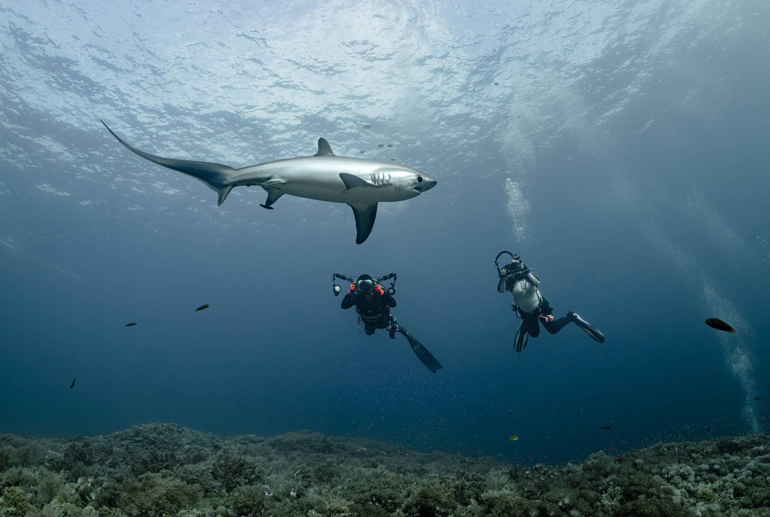, Савин Андрей
