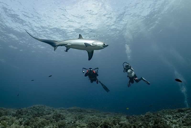 Семейный подряд фото превью