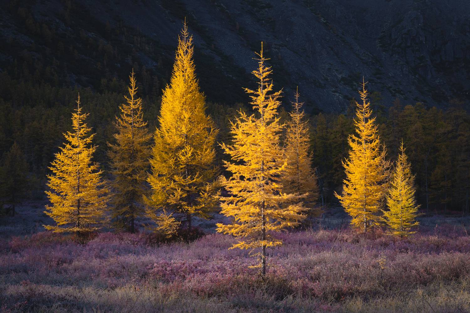 озеро джека лондона, озеро невидимка, рассвет, пейзаж, Mikhail Ioannisian
