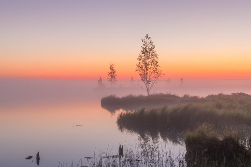 Туманное утро фото превью
