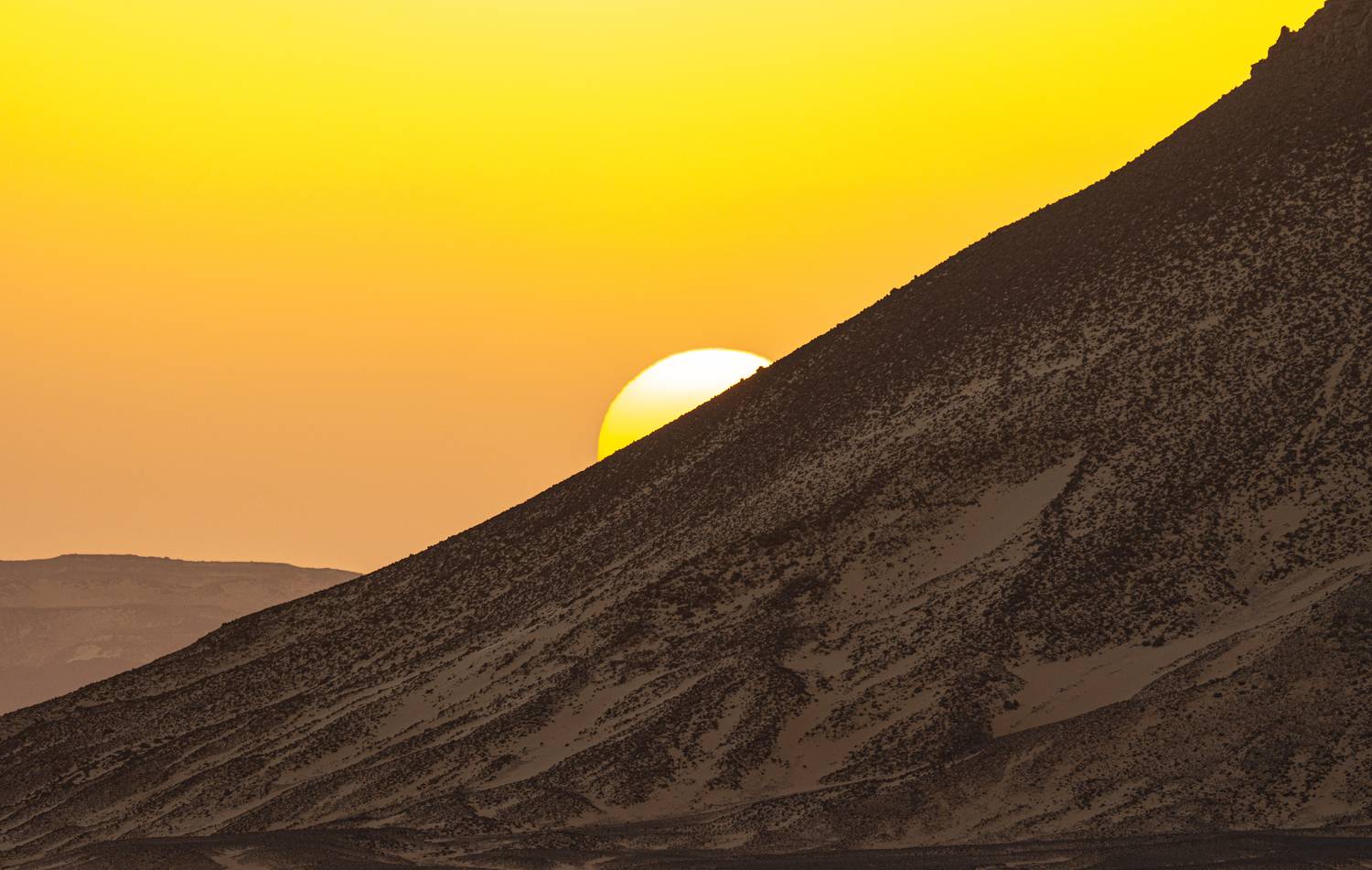 , Владимир Цветов