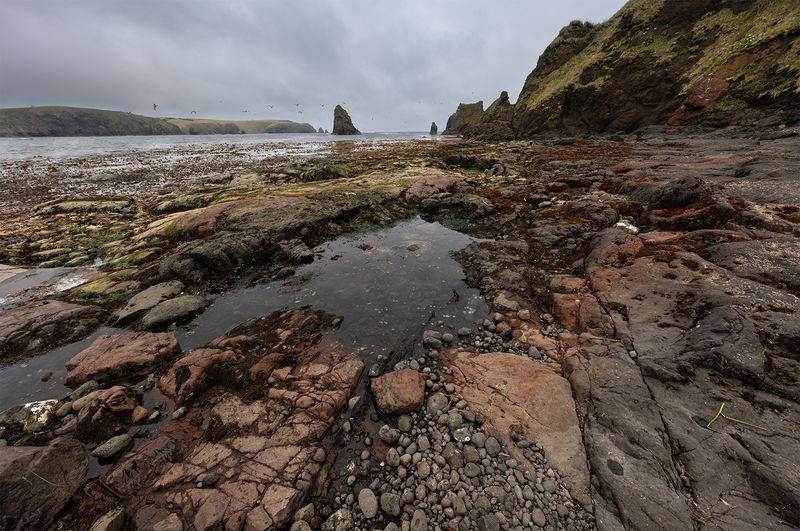 Курилы, Шикотан  фото превью