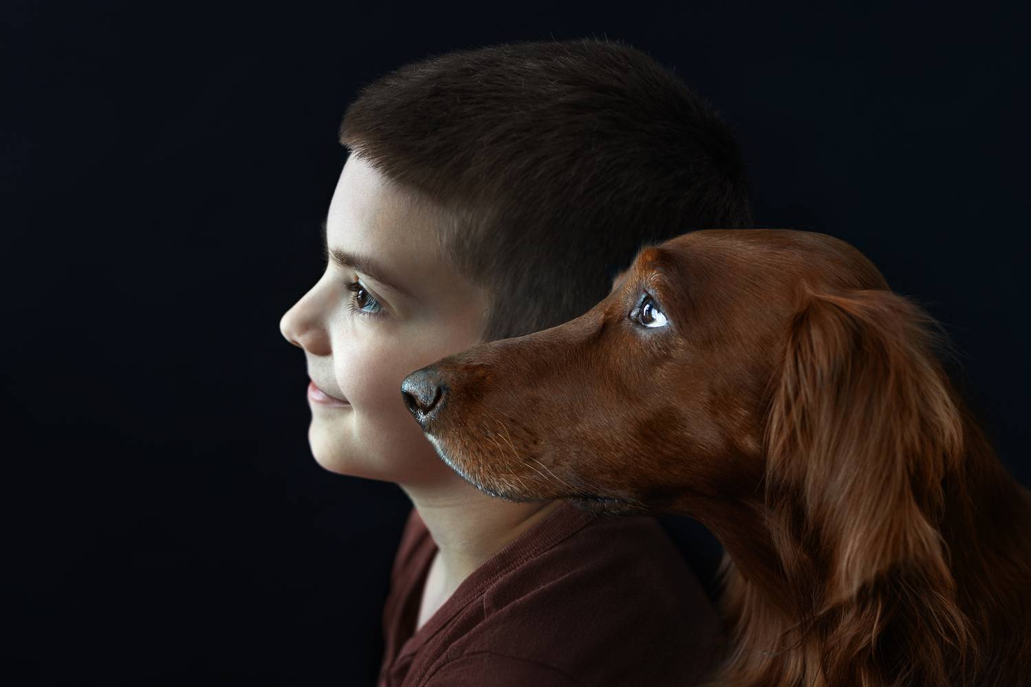 мальчик, собака, ирландский сеттер, портрет , лицо, печать, профиль, друзья, Ведмеденко Оксана