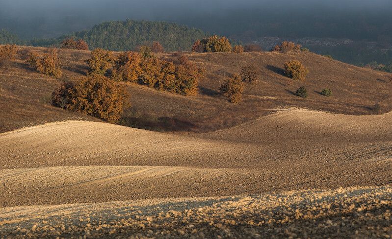 Метаморфозы фото превью