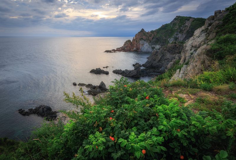 фото превью