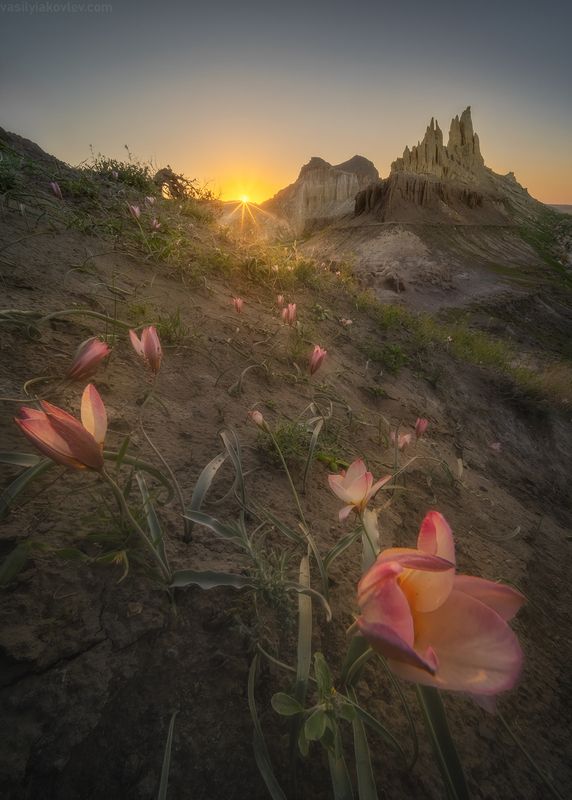 казахстан, фототур, яковлевфототур, мангистау, мангышлак, айракты, босжира, устюрт, карынжарык, тузбаир, торыш, туйесу, сенек Айракты фото превью