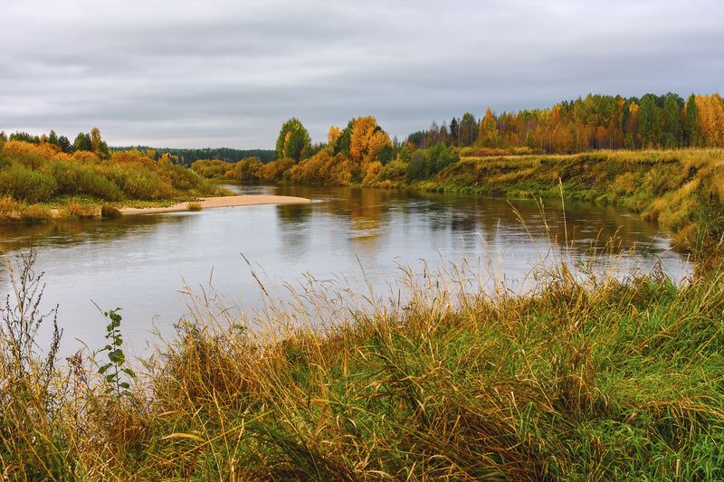 осень, сентябрь, река, пинега, вода, берега, деревья, кусты, трава Осень на реке Пинеге фото превью