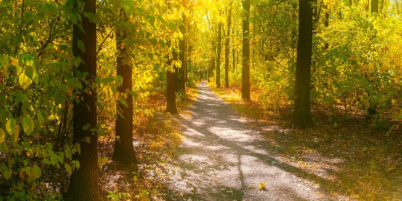 Осеннее настроение. фото превью