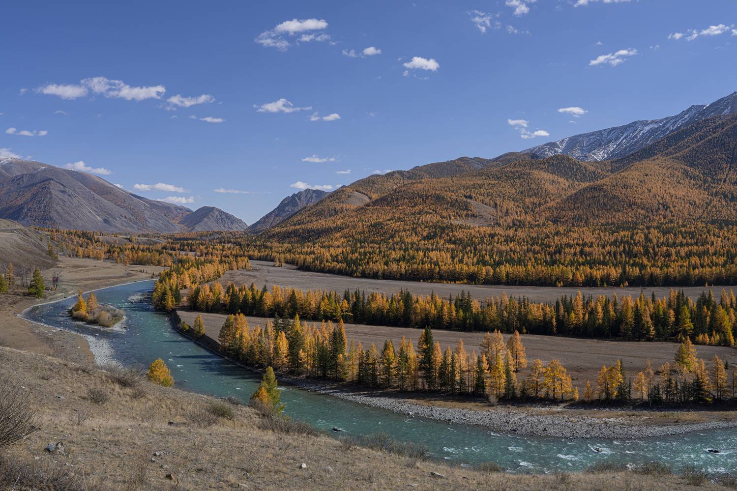 алтай, осень, меандры, чуя, Дейнекина Галина