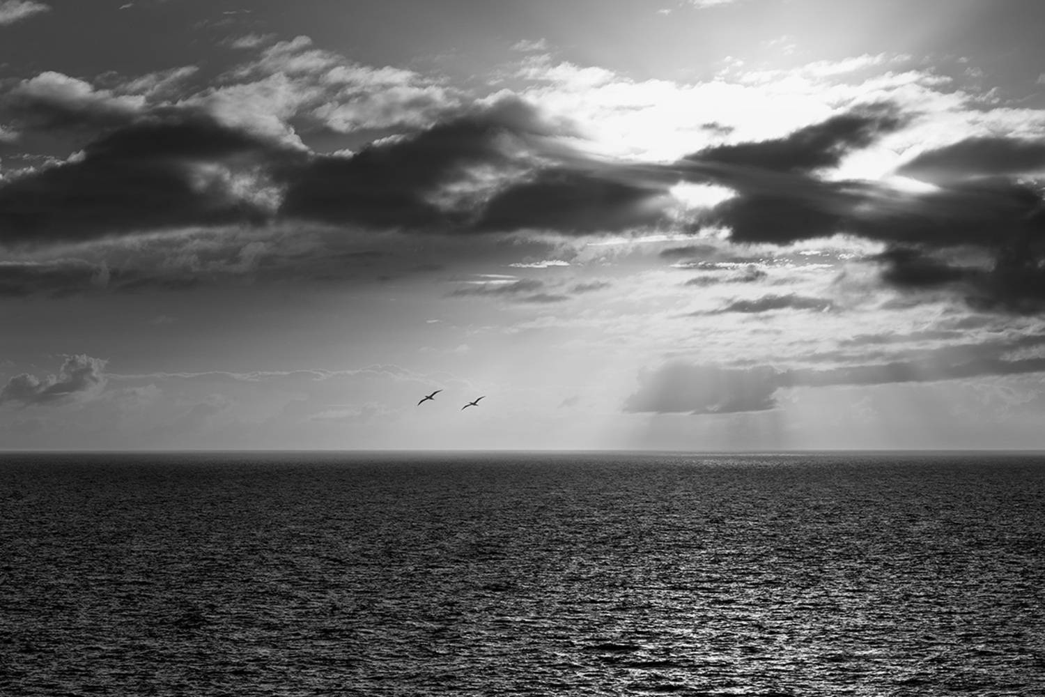 , Моисеева Надежда