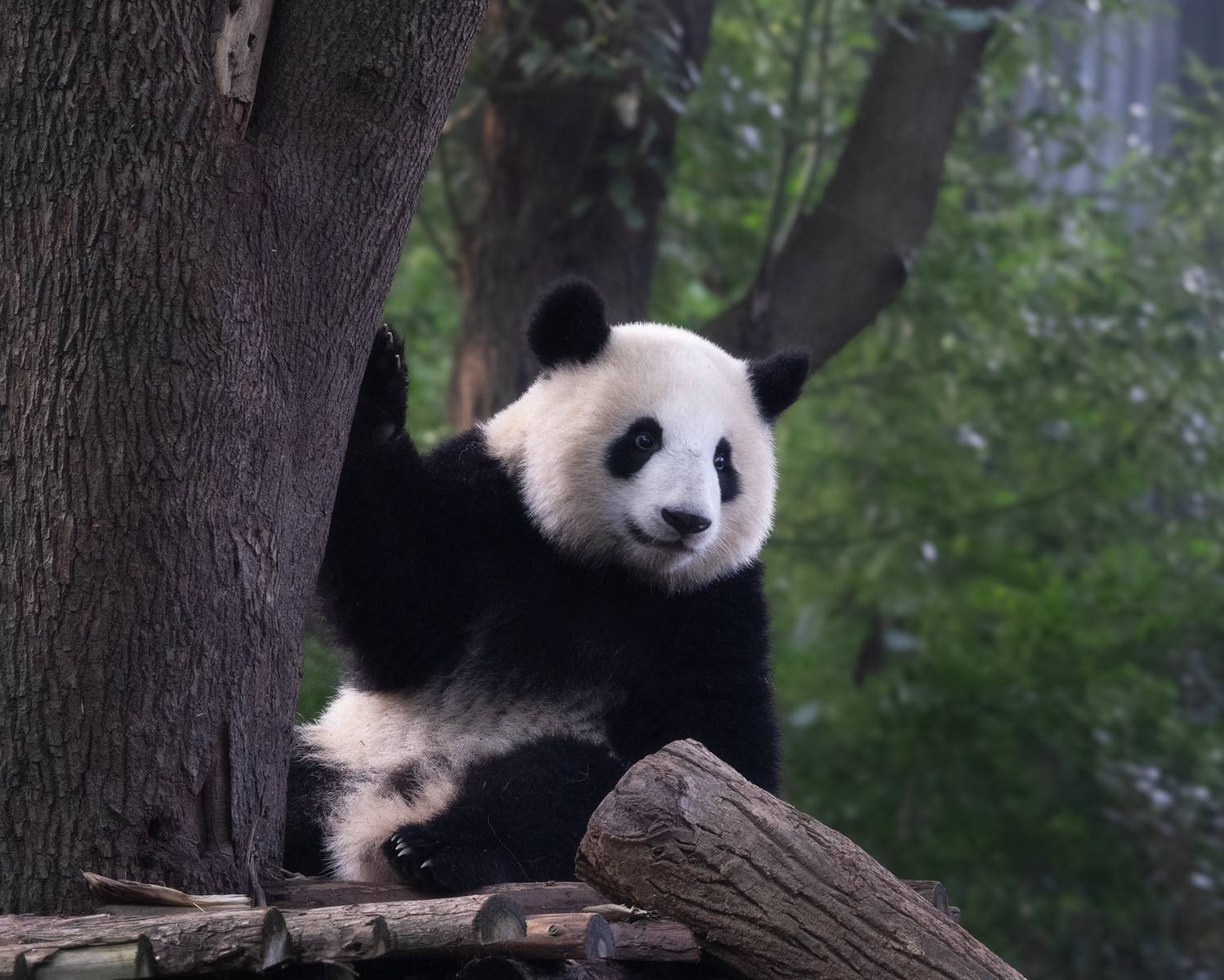 , Екатерина Сысоева