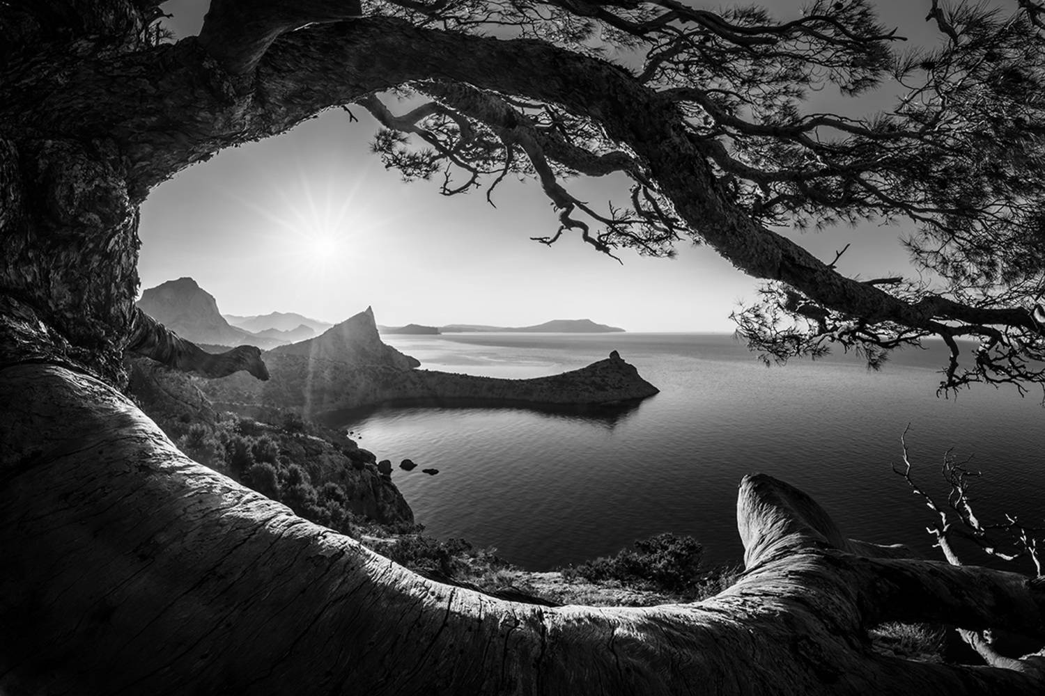 , Моисеева Надежда