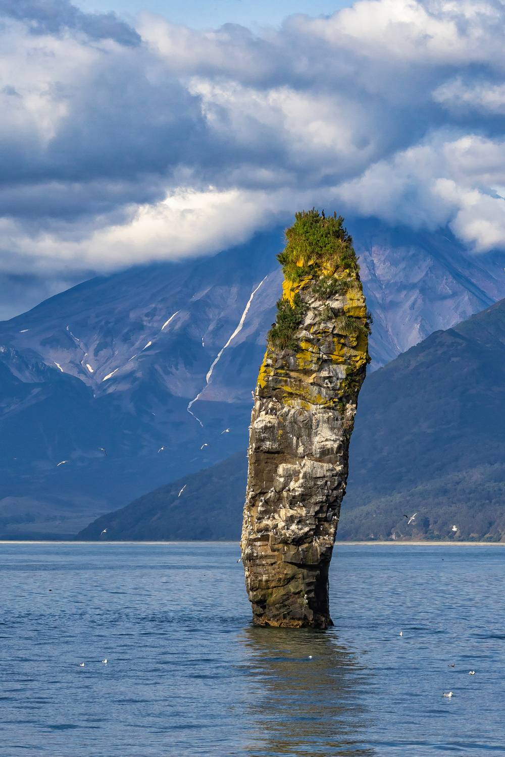 камчатка, скала палец, вилючинский вулкан, тихий океан, природа, чайки, Подосинников Максим