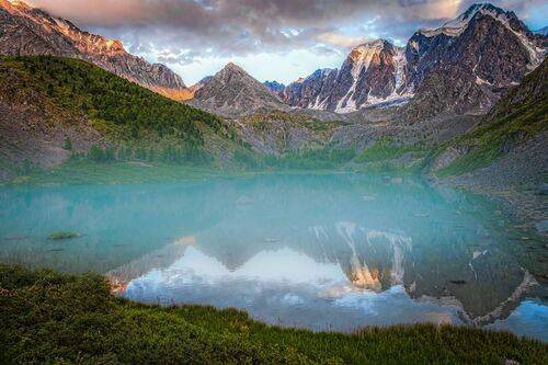 Шавло верхнее