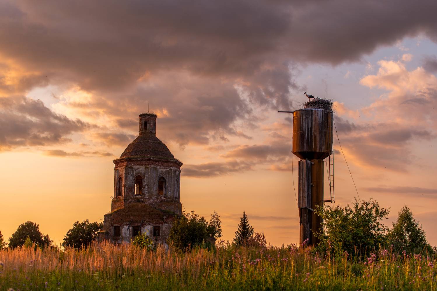 , Елена Ефимова