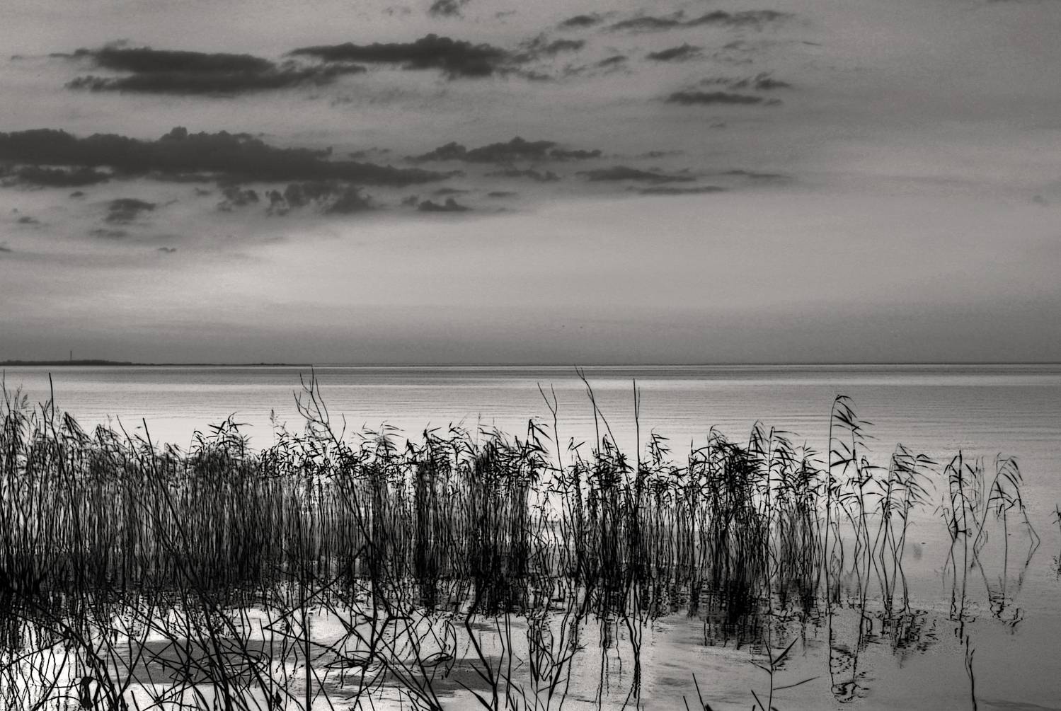 , Сергей Григорьев