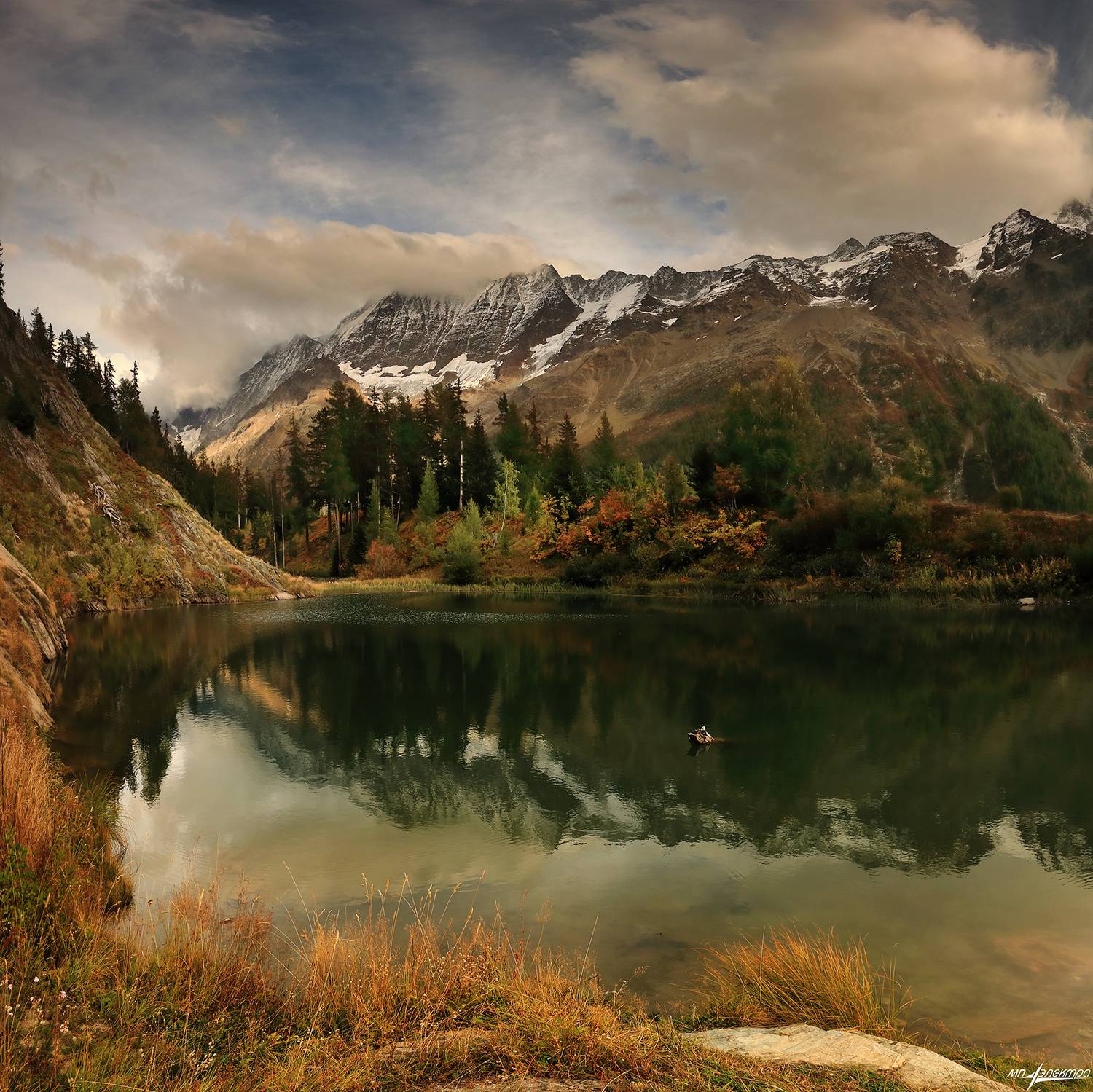 swiss, Матвеев Николай