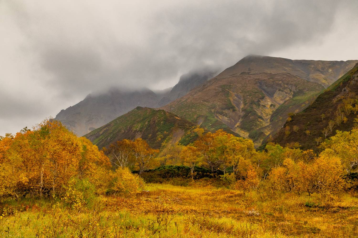 вачкажец, камчатка, путешествие, древний вулкан, осень, береза, каменная береза, Подосинников Максим