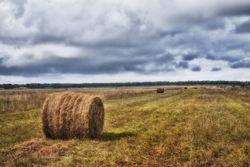 **** фото превью