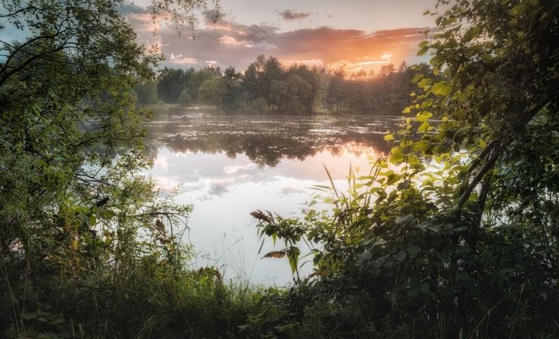 закат у  пруда  фото превью