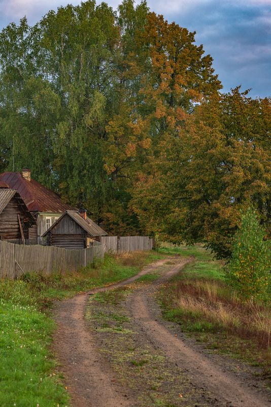 Тишина осеннего утра. фото превью