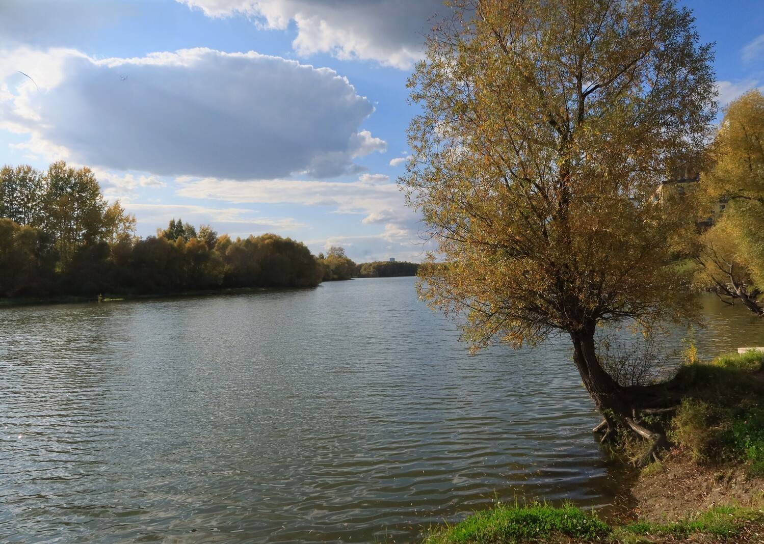 природа,река,дерево,облако, Козлова Галина