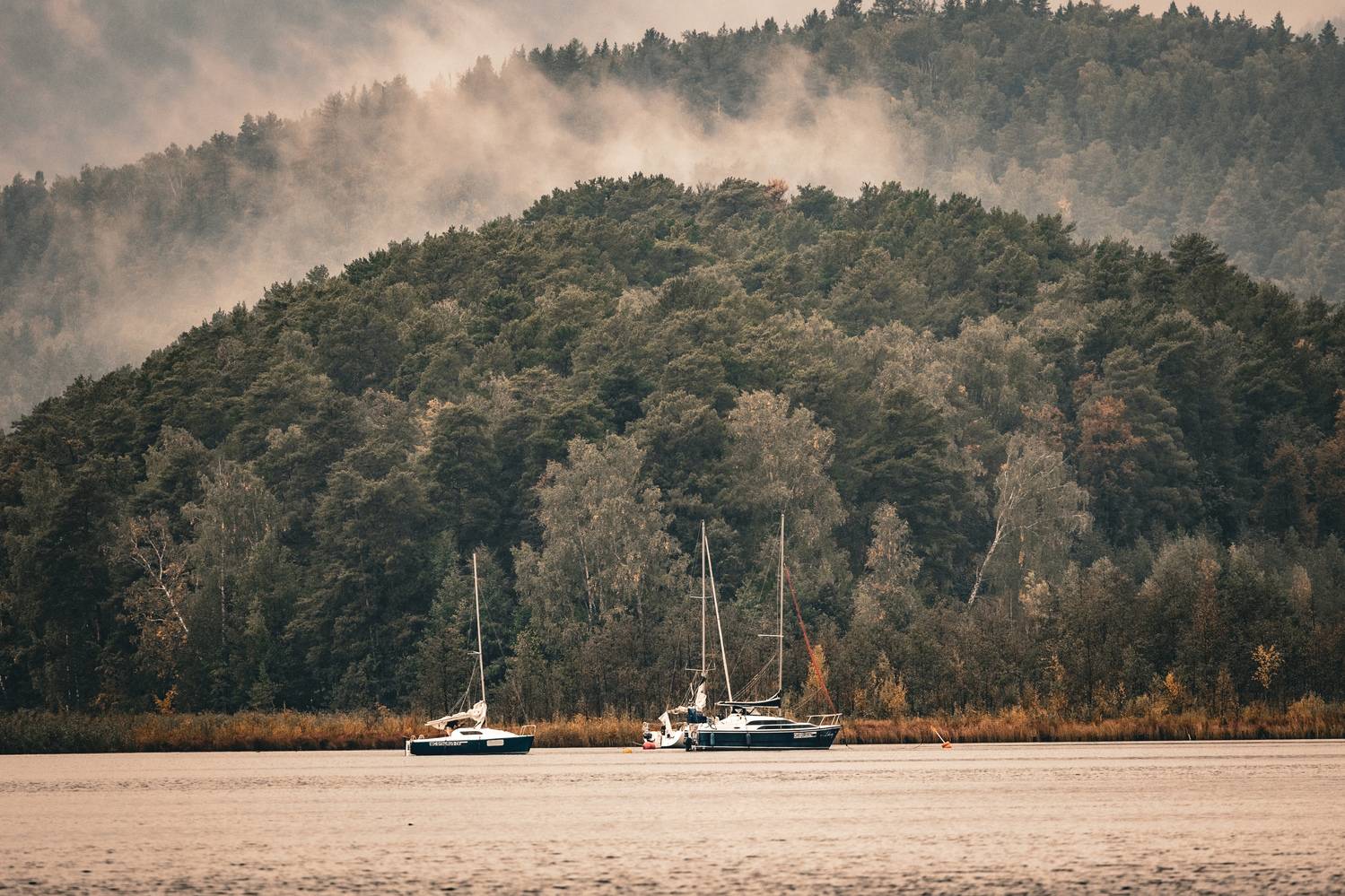 , Щепанов Дмитрий