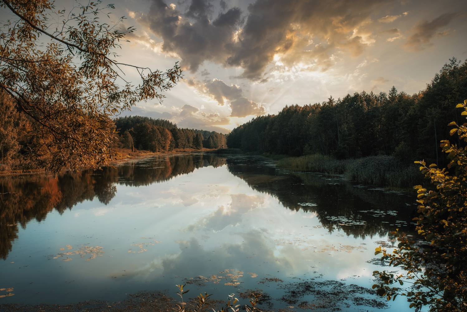 , Дмитрий Величко