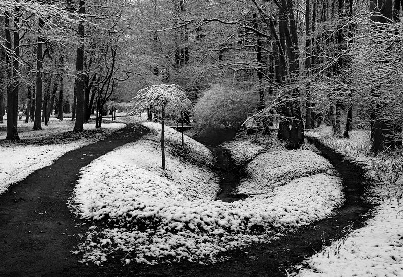 немного снега фото превью