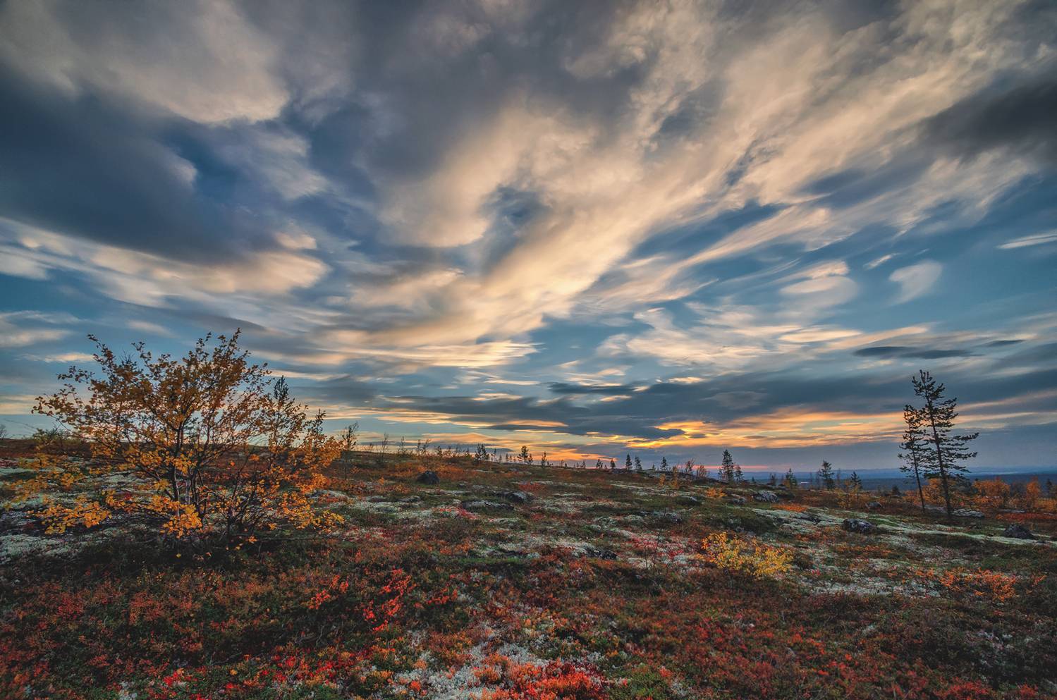 , Тихонов Сергей