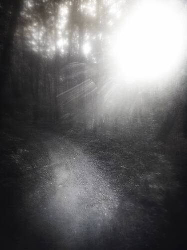 Изучая тишину.