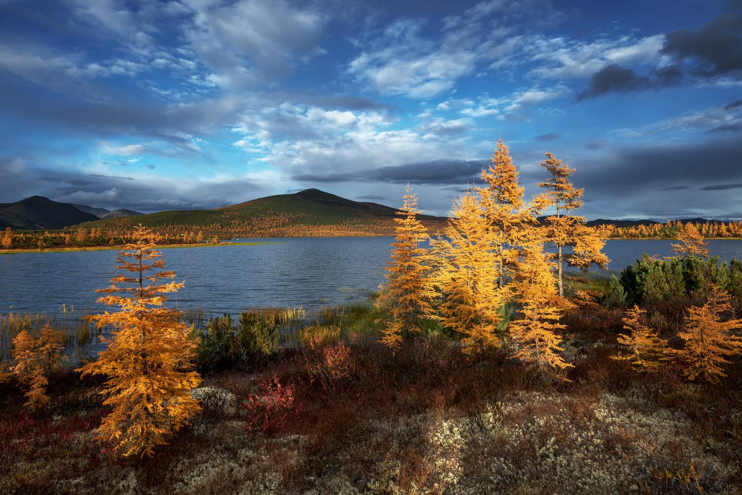 Озеро Джека Лондона , Евдокимов Максим