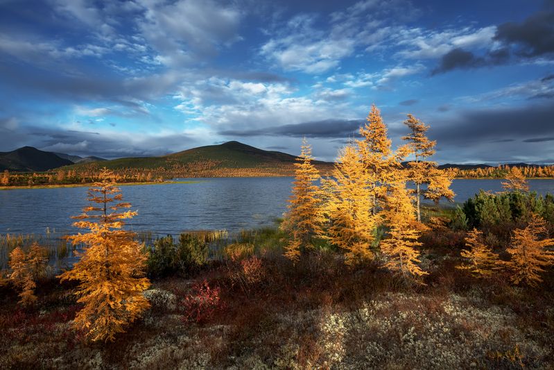 Озеро Джека Лондона  Золотая Колыма...  фото превью