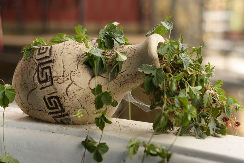 *** фото превью