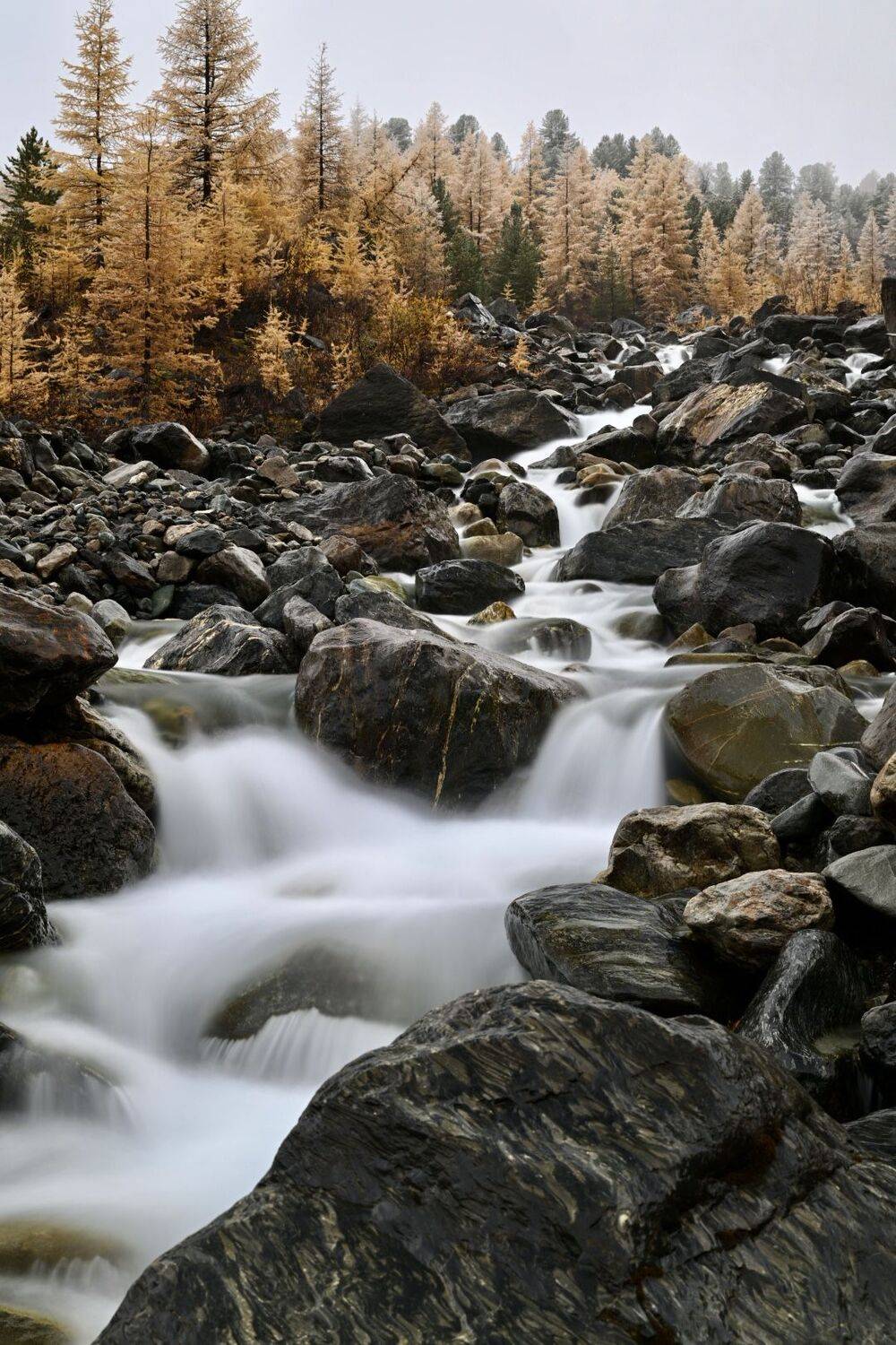 , Геннадий Кравченко