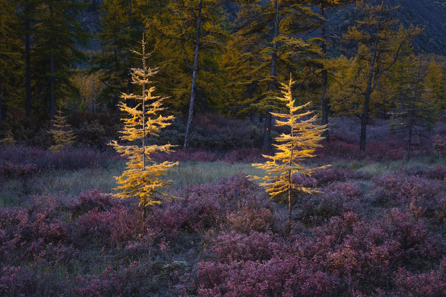 озеро джека лондона, озеро невидимка, рассвет, пейзаж, Mikhail Ioannisian