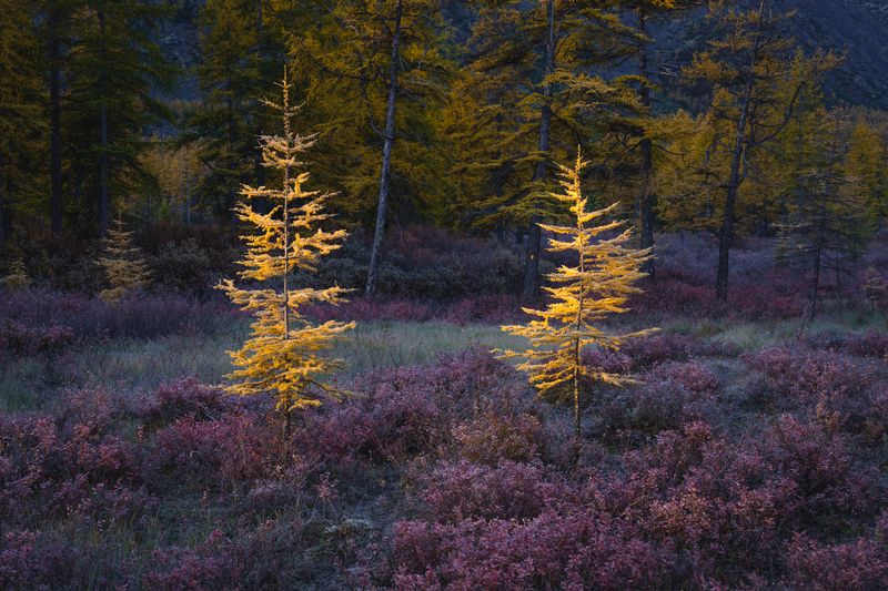 озеро джека лондона, озеро невидимка, рассвет, пейзаж  фото превью