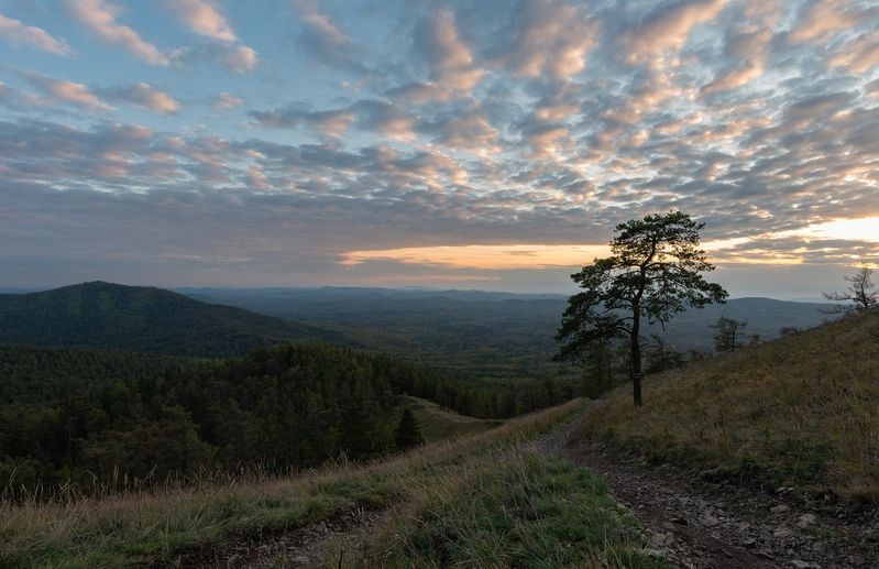 *** фото превью