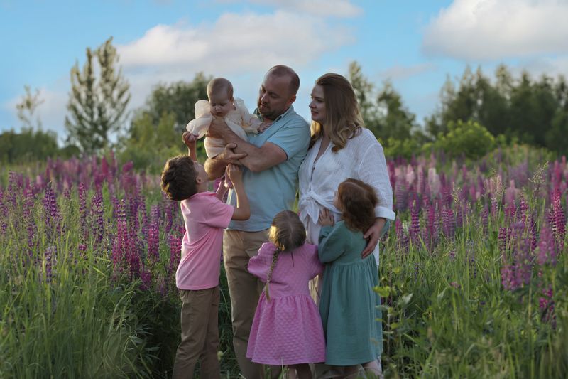 Семья, дети, лето, люпины, поле, солнечный день В полях люпинов фото превью