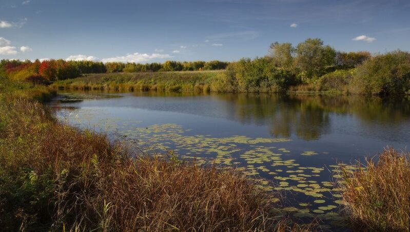 ... фото превью