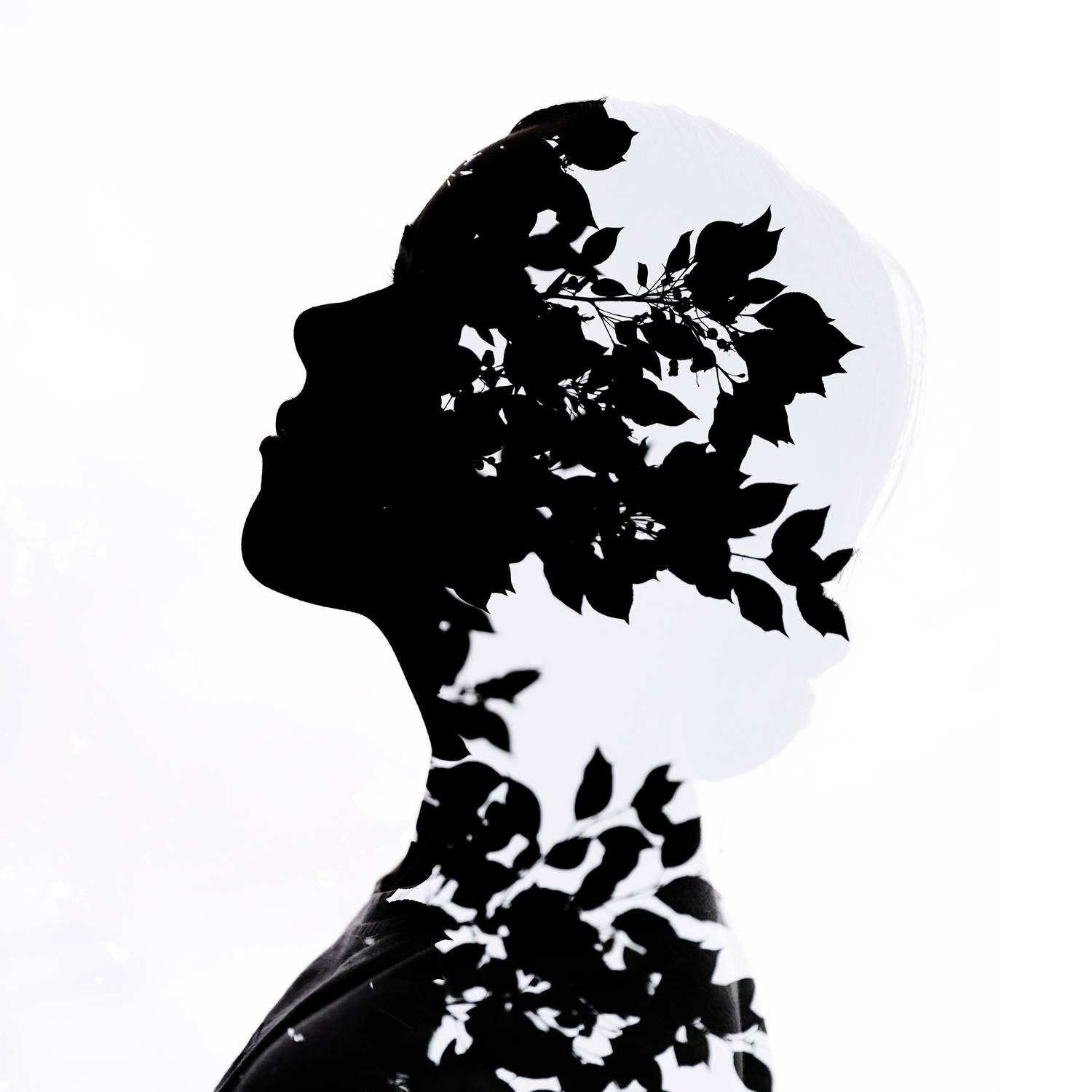 , Дарья Комарова