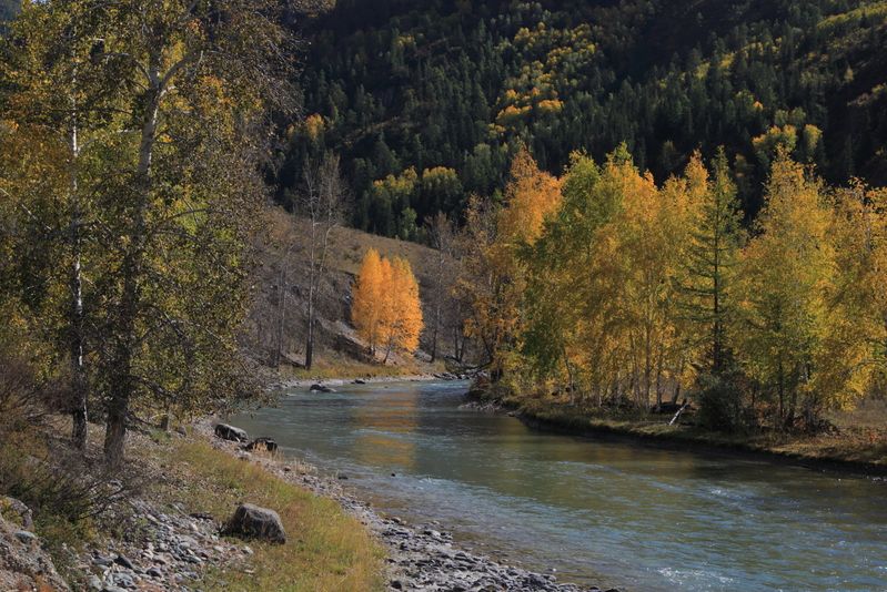 р. Чуя фото превью