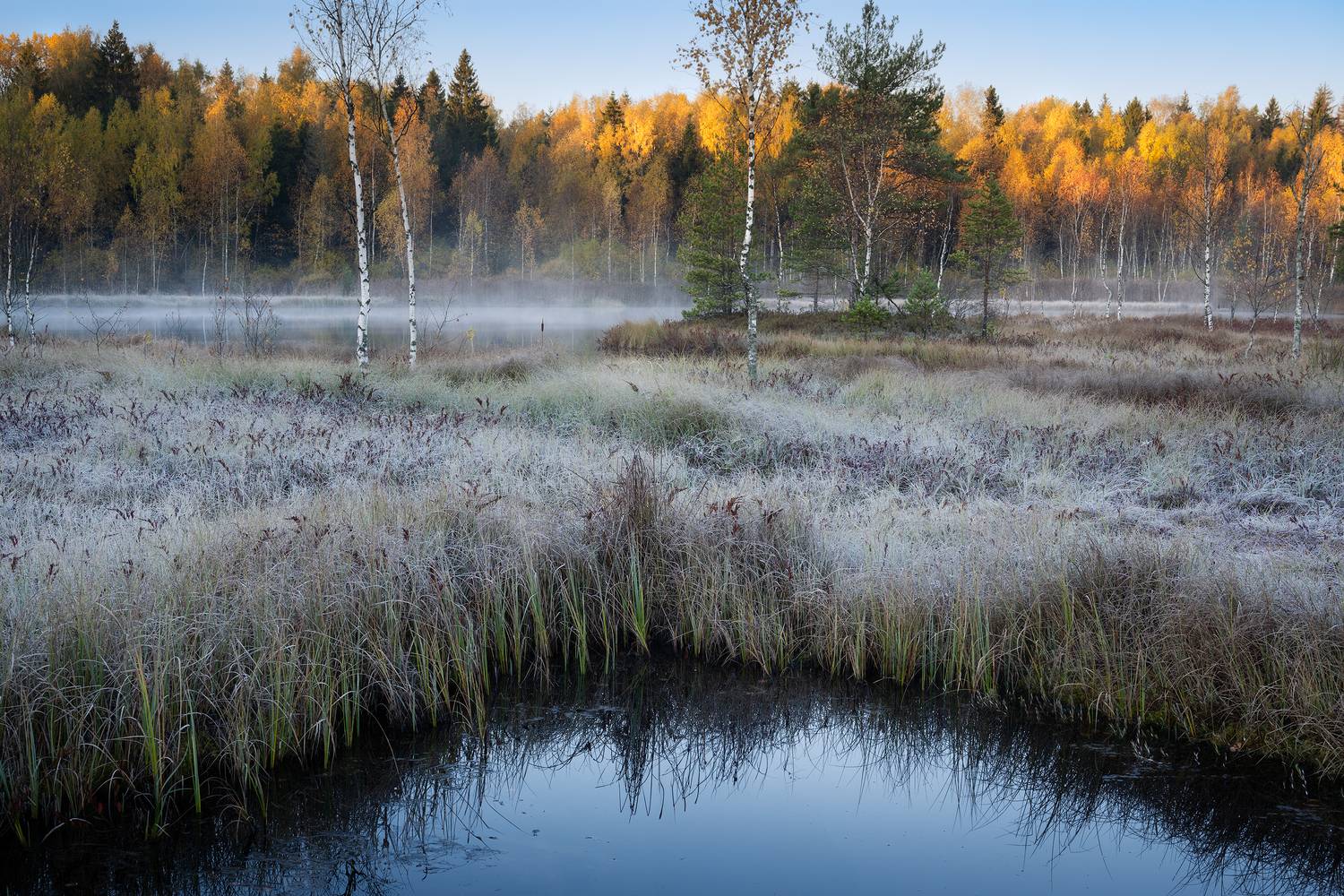 , Konstantin Kalinin