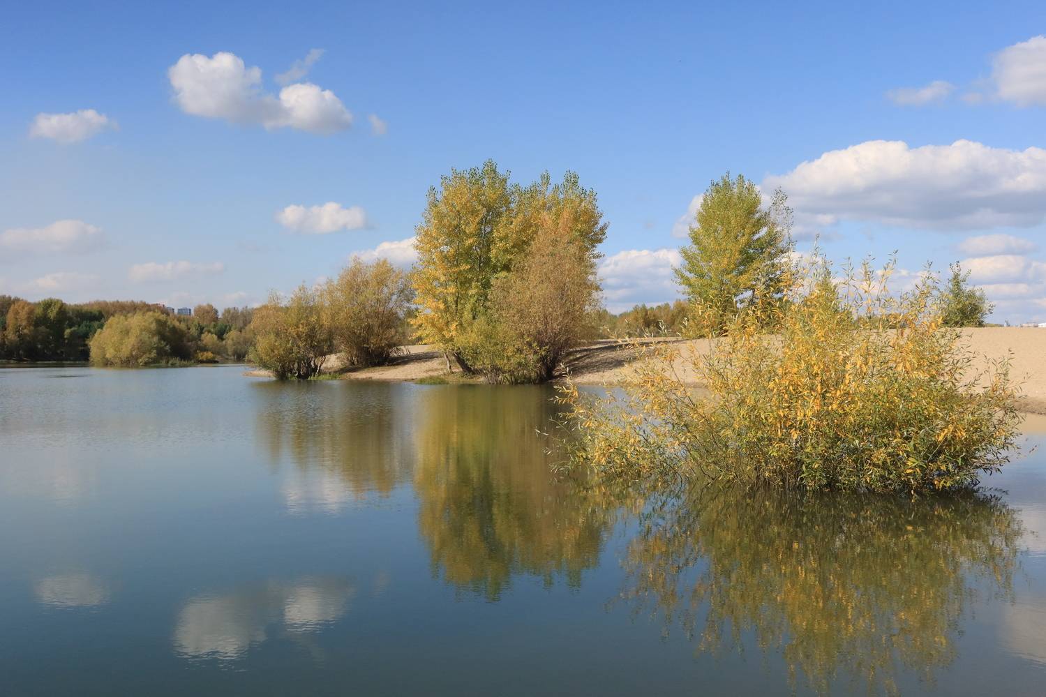 природа,осень,река,деревья,отражение, Козлова Галина